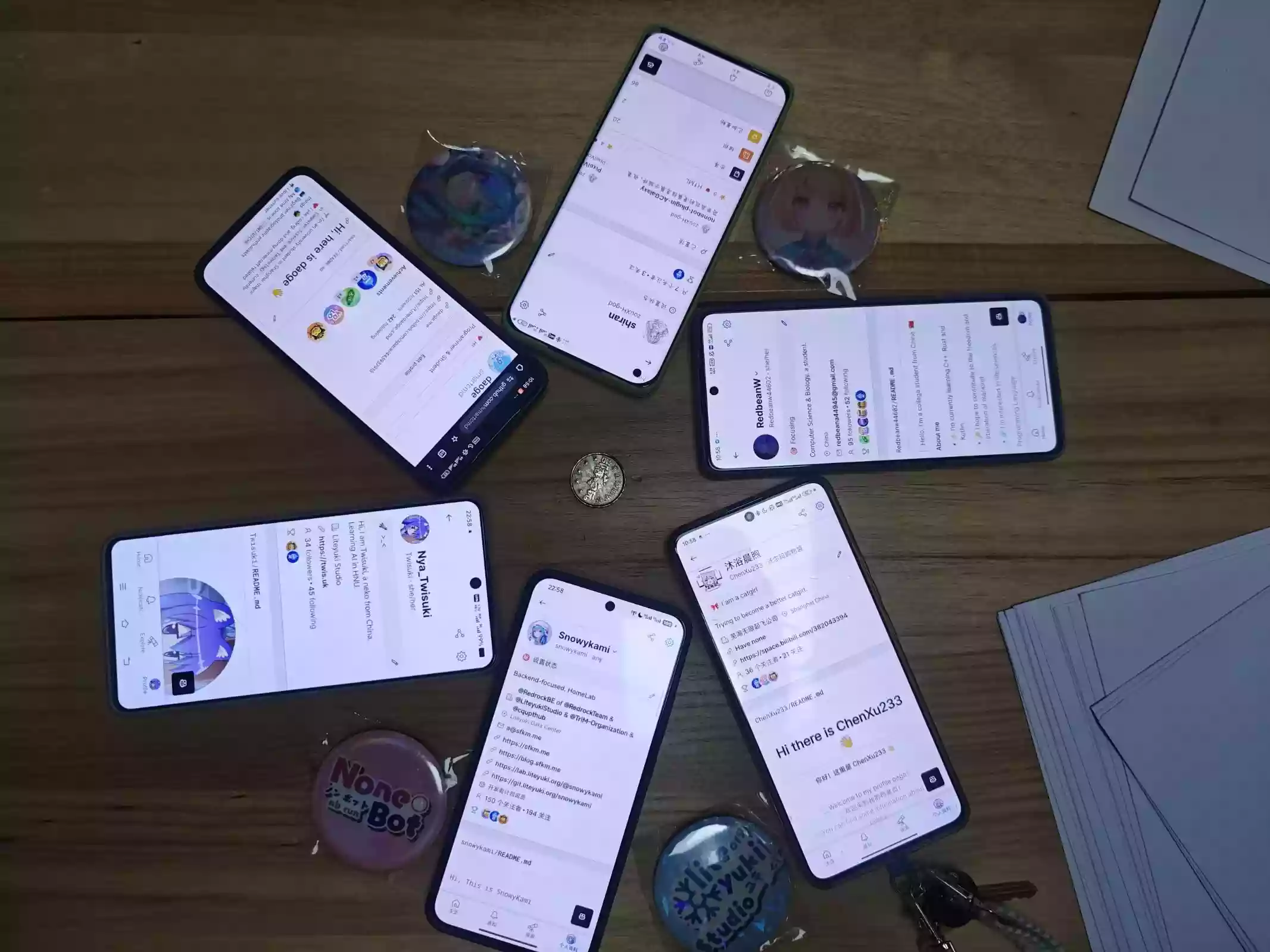 开发者神秘仪式 #1